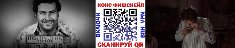 Кокаин FishScale  Купить закладки  Высоцк 