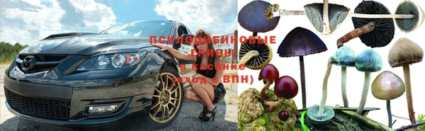 кокаин колумбия Иннополис